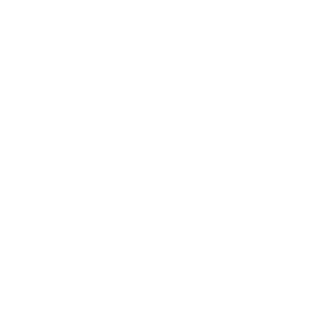 Kota Icon