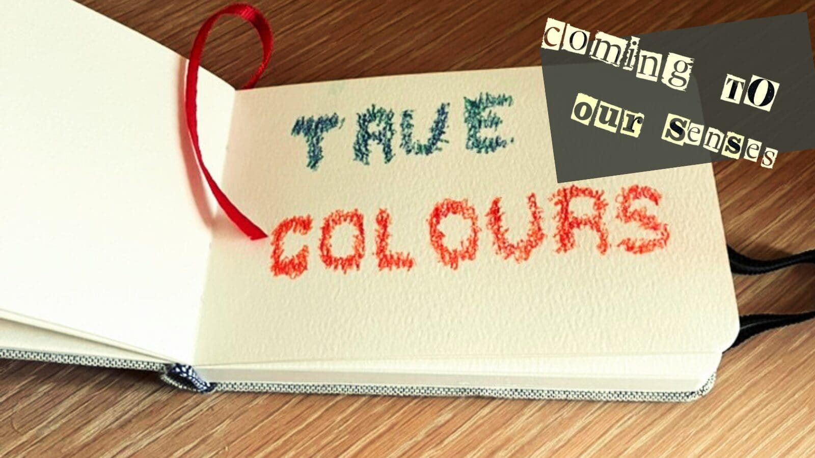 True Colours Zine Cover